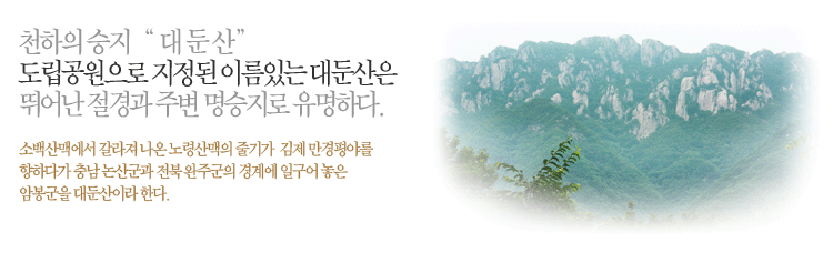 천하의 승지 " 대둔산" 도립공원으로 지정된 이름있는 대둔산은 뛰어난 절경과 주변명승지로 유명하다.
    소백산맥에서 갈라져 나온 노령산맥의 줄기가 김제만경평야를 향하다가 충남 논산군과 전북 완주군의 경계에 일구어 놓은 암봉군을 대둔산이라 한다.