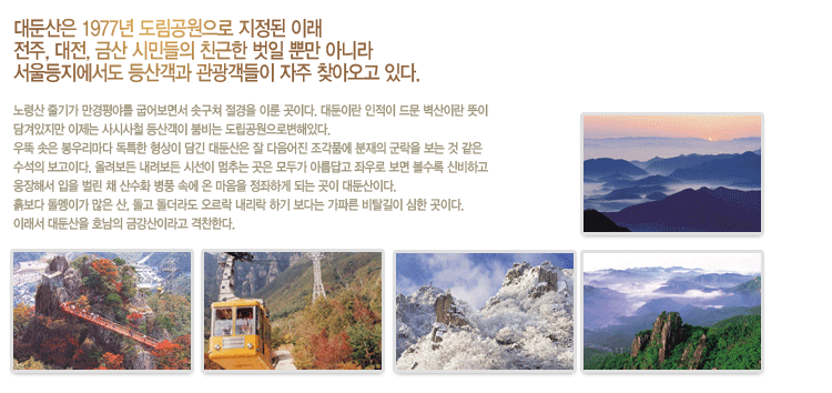   대둔산은 1977년 도림공원으로 지정된 이래 전주, 대전, 금산 시민들의 친근한 벗일 뿐만 아니라 서울 등지에서도 등산객과 관광객들이 자주 찾아오고 있다.
    노령산 줄기가 만경평야를 굽어보면서 솟구쳐 절경을 이룬 곳이다. 대둔이란 인적이 드문 벽산이란 뜻이담겨 있지만 이제는 사시사철 등산객이 붐비는 도립공원으로 변해있다.
    우뚝 솟은 봉우리마다 독특한 형상이 담긴 대둔산은 잘 다듬어진 조각품에 분재의 군락을 보는 것 같은 수석의 보고이다. 
    올려보든 내려보든 시선이 멈추는 곳은 모두가 아름답고 좌우로 보면 볼수록 신비하고 웅장해서 입을 벌린 채 산수화 병풍 속에 온 마음을 정좌하게 되는 곳이 대둔산이다.
    흙보다 돌멩이가 많은 산 돌고 돌더라도 오르락 내리락 하기보다는 가파른 비탈길이 심한 곳이다. 이래서 대둔산을 호남의 금강산이라거 격찬한다.